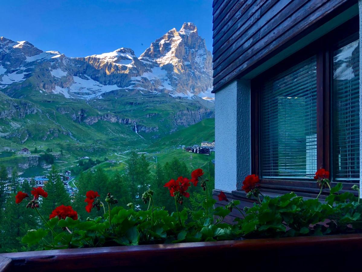 Panoramic Apartment بيريوِل تْشيرفينيا المظهر الخارجي الصورة